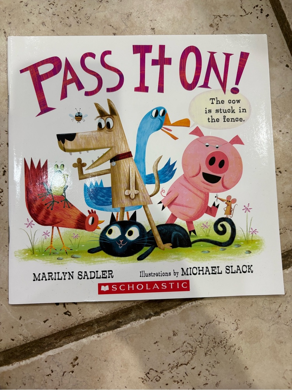Scholastic "Pass It On!" Book Cover – Pink, Blue, Red, Black, Green